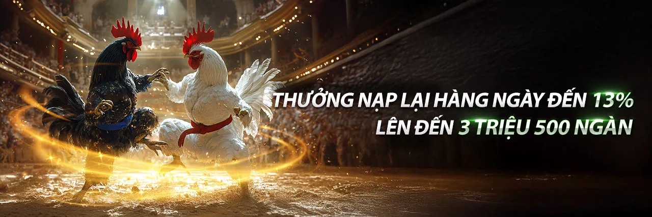Đá Gà Trực Tuyến Hấp Dẫn tại 33win4 Link Mới