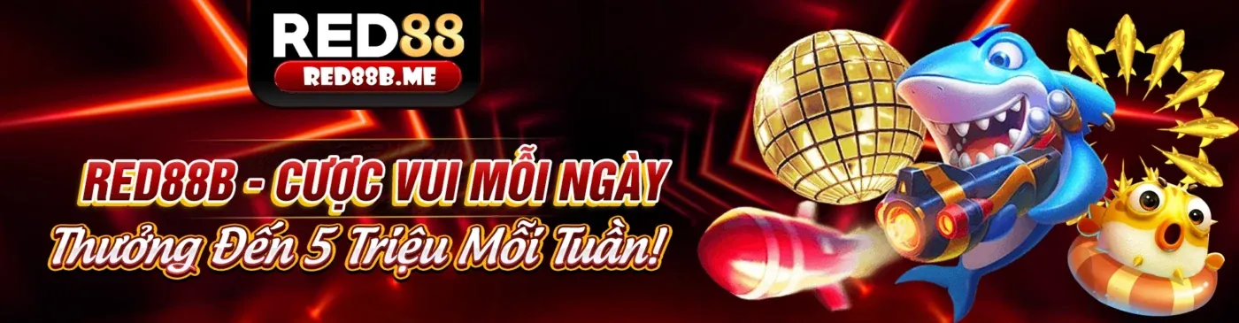 Đường truyền ổn định