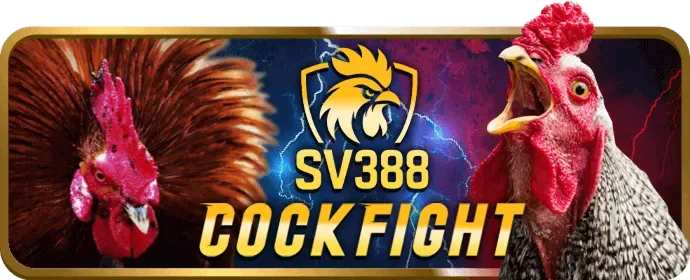 Chương trình VIP 33win4