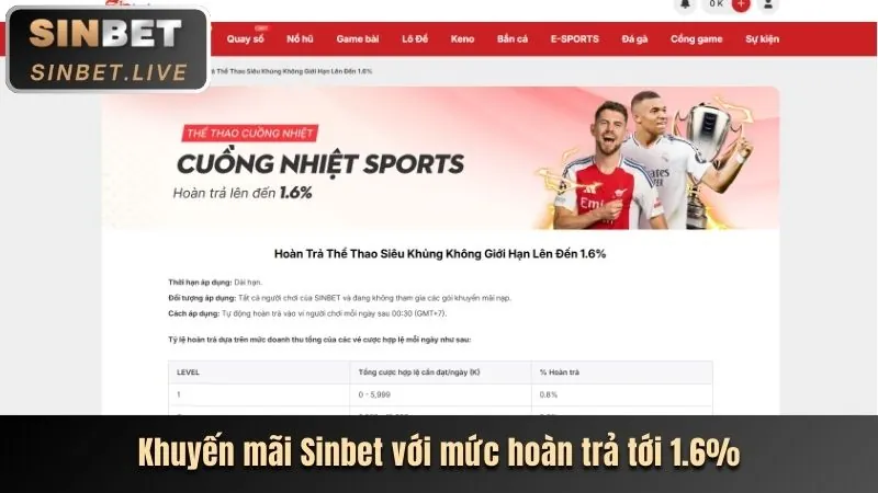 Tổng quan các quy tắc cá cược thể thao